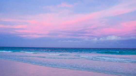 pink sand beach