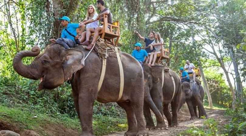 bali zoo