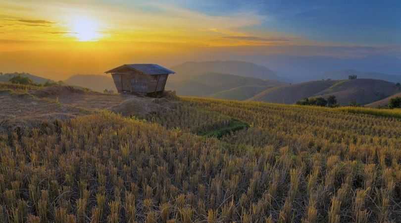 Chiang Mai - Thailand