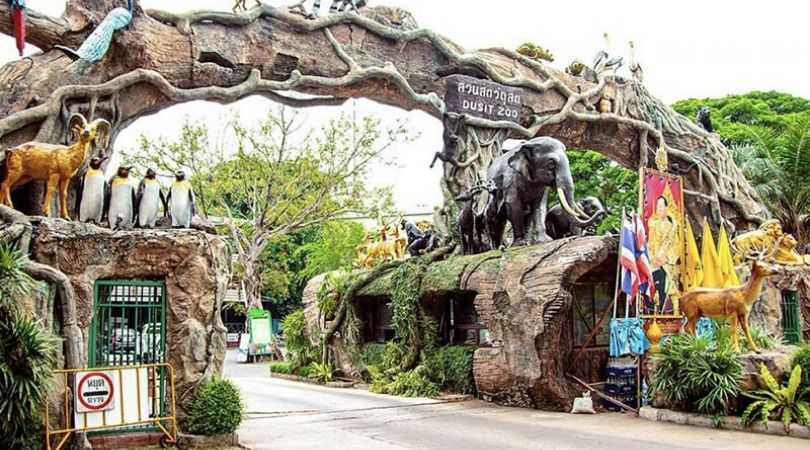 dust zoo