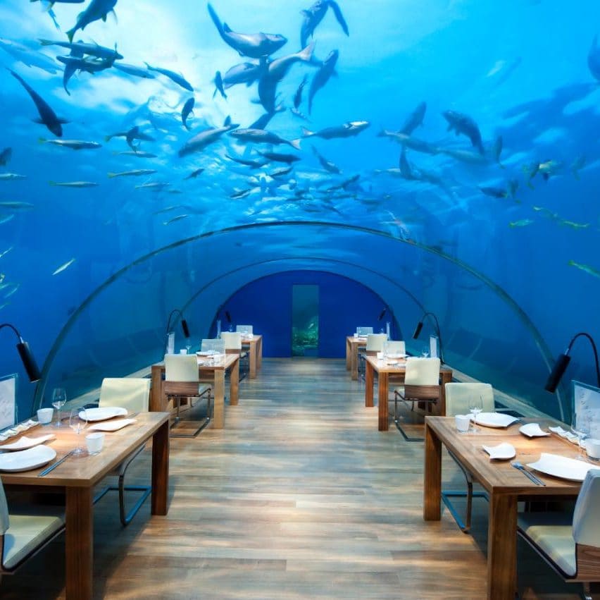 undersea dining maldives