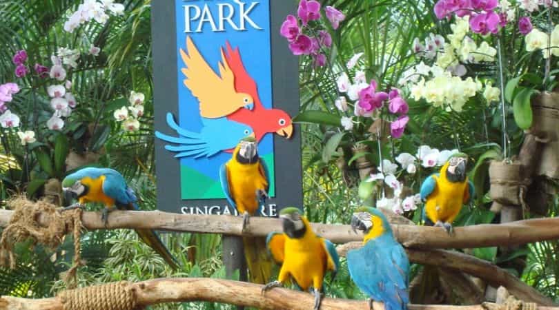Jurong Bird park