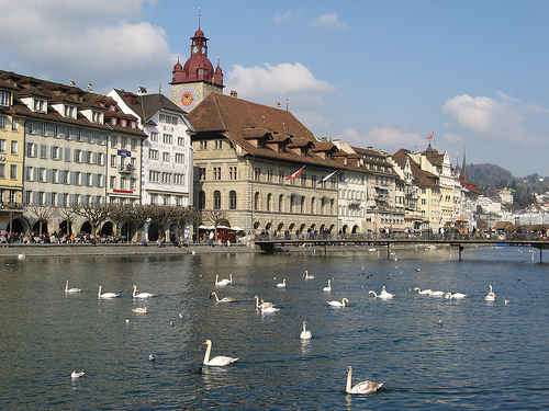 swan square lucerne