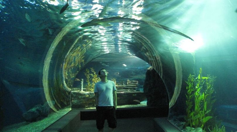 underwater world pattaya