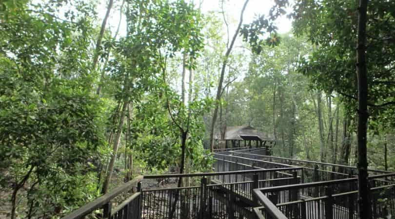 Sungei Buloh Wetland Reserve