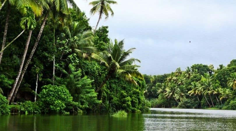 backwaters in kumarakom - Things to do in Kumarakom