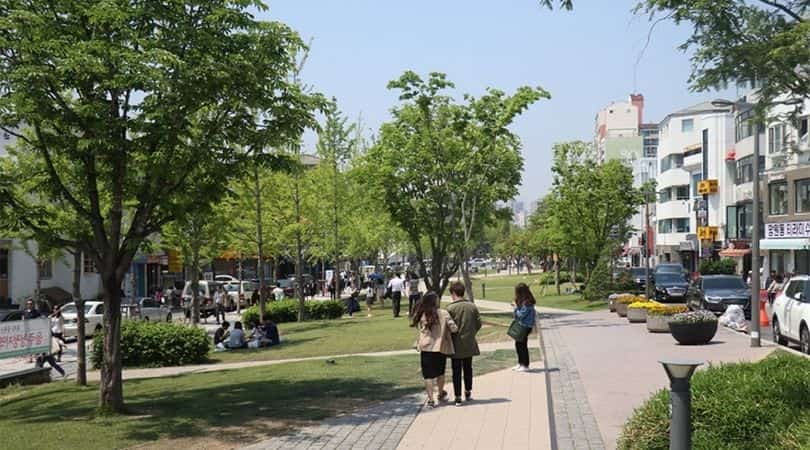 gyeongui-line-forest