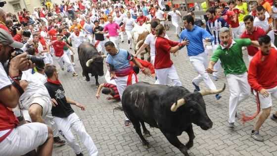 running of bulls festival