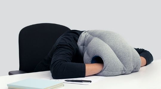 Ostrich Travel Pillow