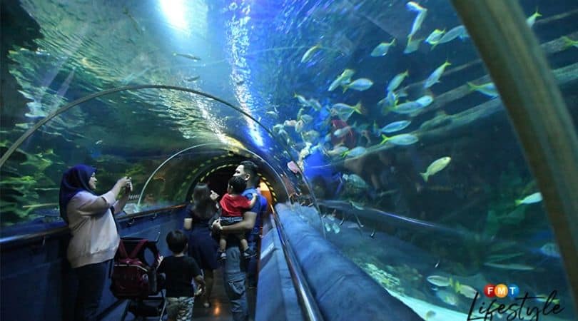 aquaria malaysia