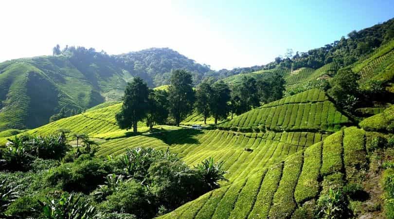 cmaeron highlands malaysia