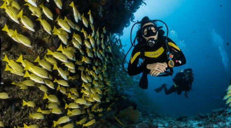 diving in maldives