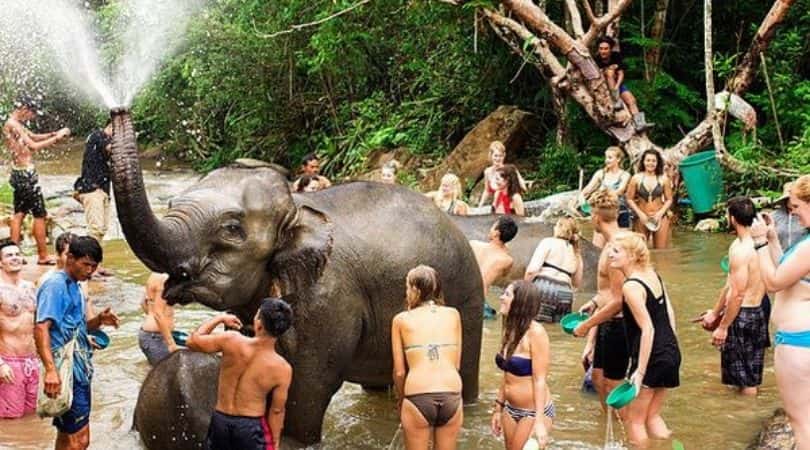 elephant sanctuaries Phuket