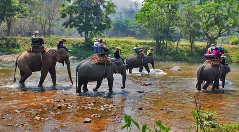 jungle safari in phuket