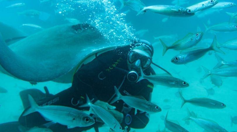 scuba diving malaysia