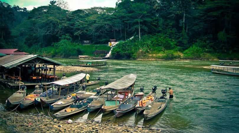 Jungle trekking at taman nagra national park