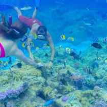 Full-Day Bora Bora