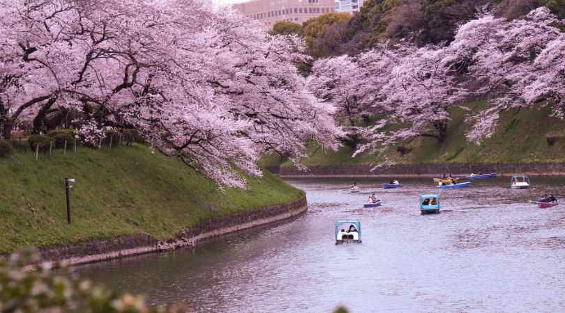 tokyo, Japan