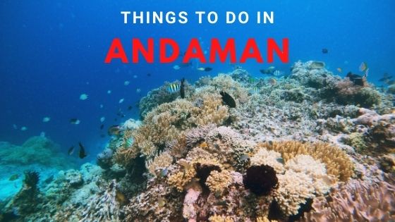 things to do in andaman