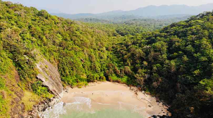 butterfly Beach goa