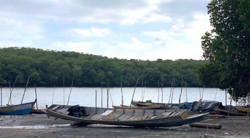 parrot island - baratang island