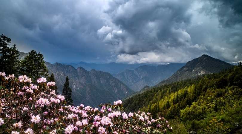 Sar Pass Trek