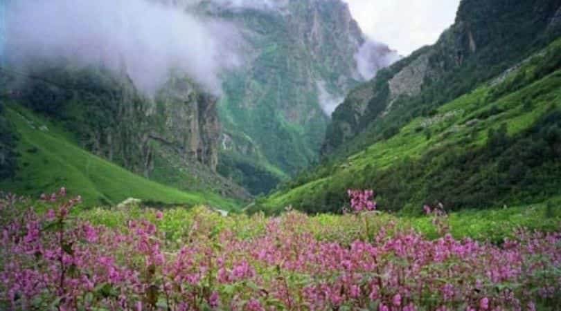 nanda devi national park, auli