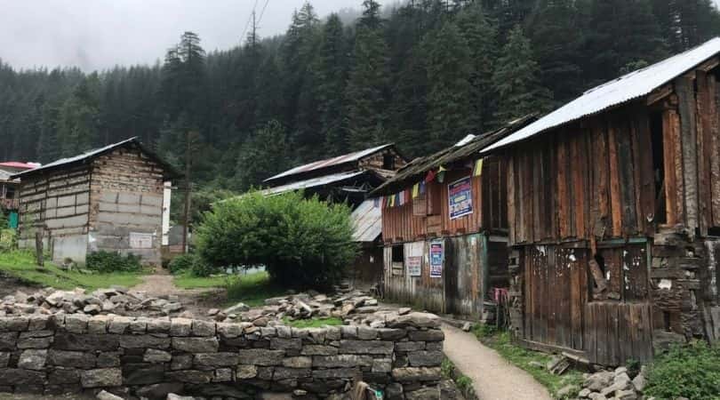 pulga, kasol