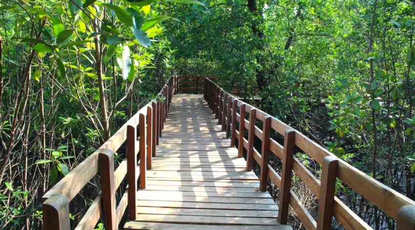 Sharavathi Kandla Walkway, Honnavar