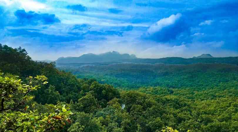 Pachmarhi in January