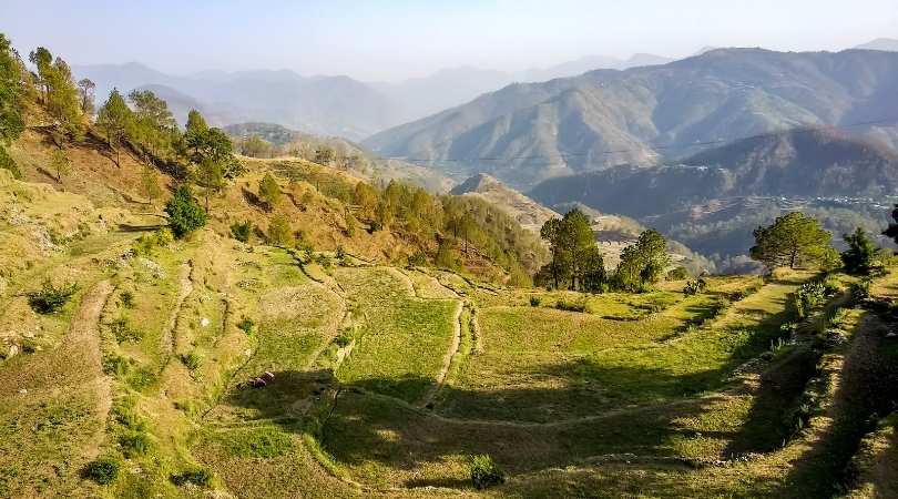 Ranikhet