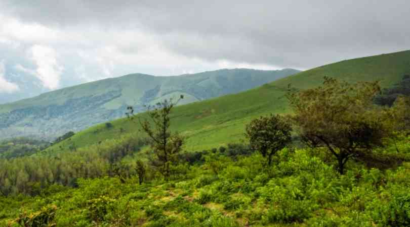 chikmagalur in January