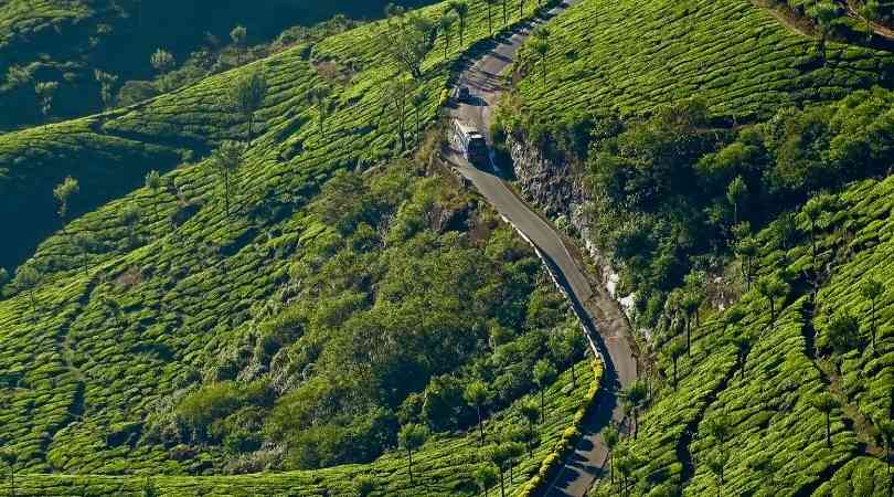munnar in January