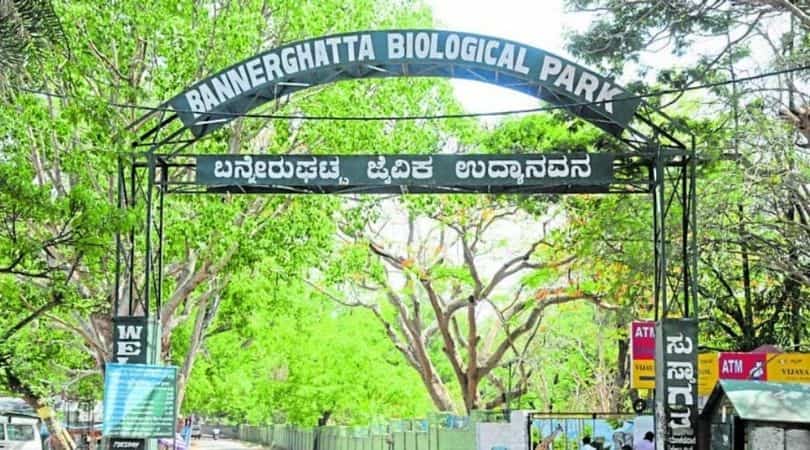 Bannerghatta National Park