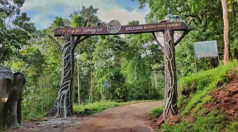 Jungle safari at Bhadra wildlife sanctuary