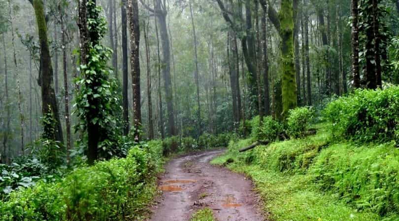 Hebbe Falls Trekking Trail