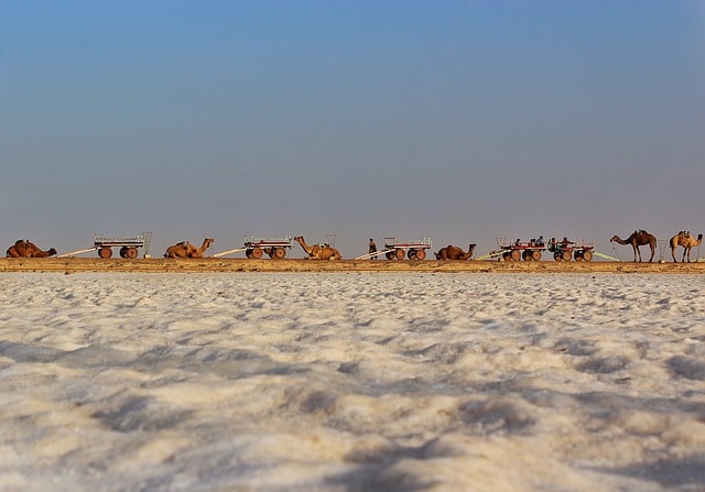 Kutch, Gujarat - places to visit in india in february