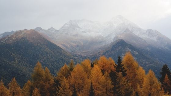 Sissu, Himachal Pradesh