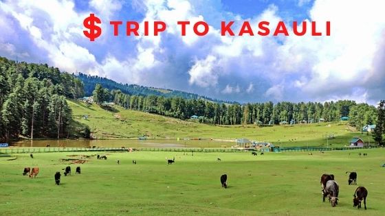 trip to kasauli