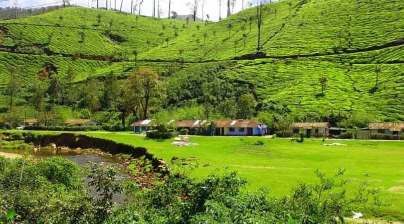 Munnar, Kerala 