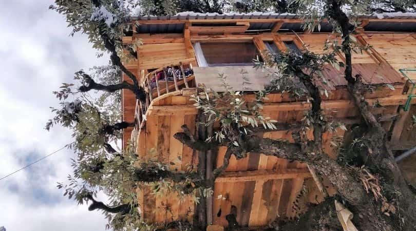 The Hidden Burrow tree house jibhi