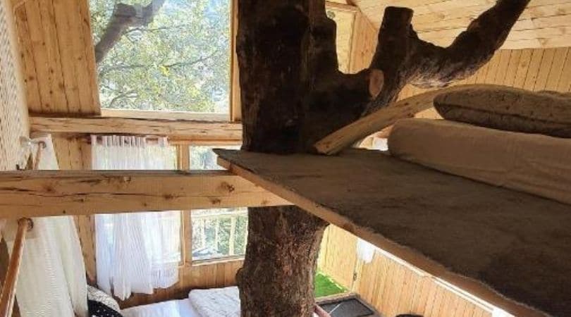 little wood tree house