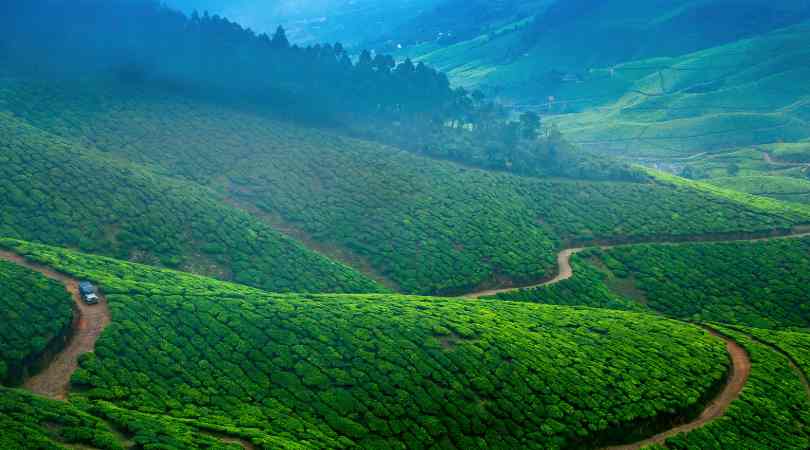 munnar in march