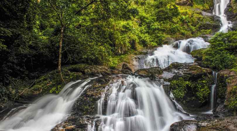 Coorg in may