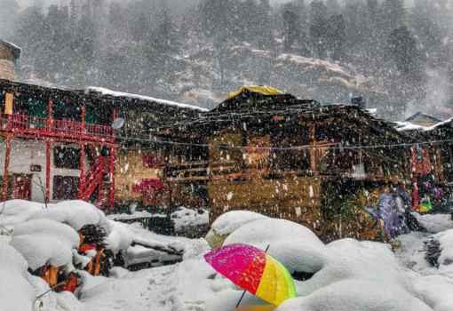 Hosteller Manali