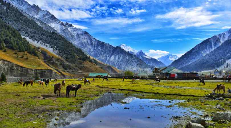 pahalgam in may