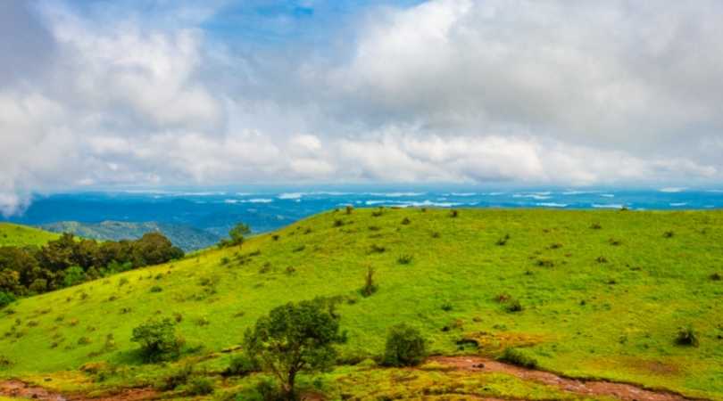 Chikmagalur in July