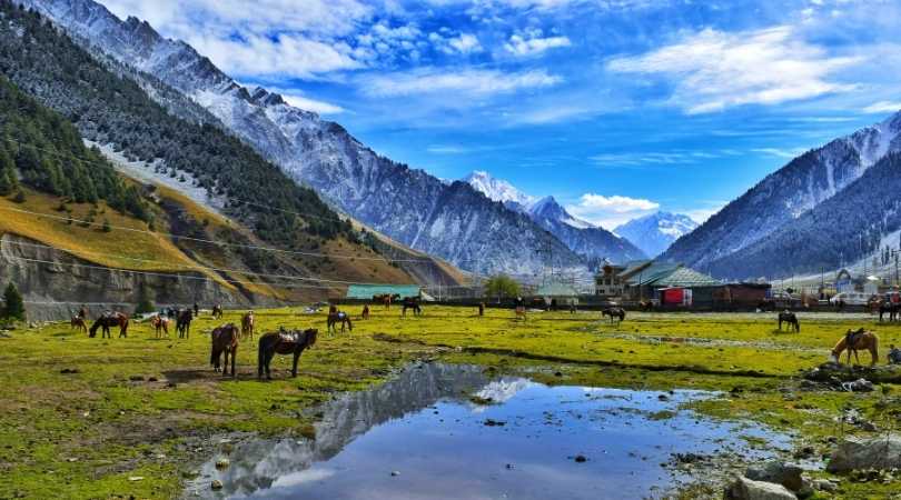 Kashmir in july