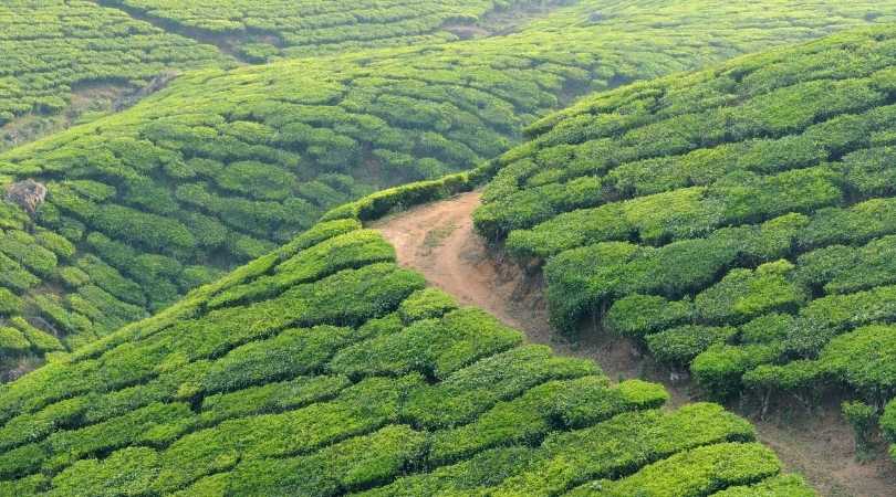 Kerala in july