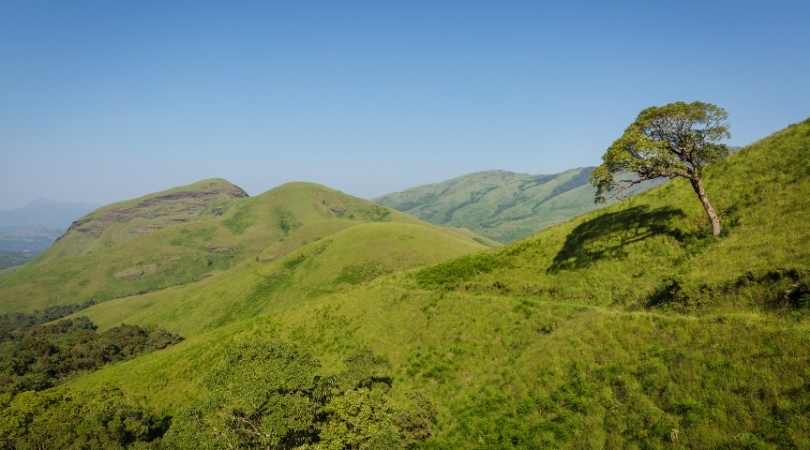 Chikmagalur in August